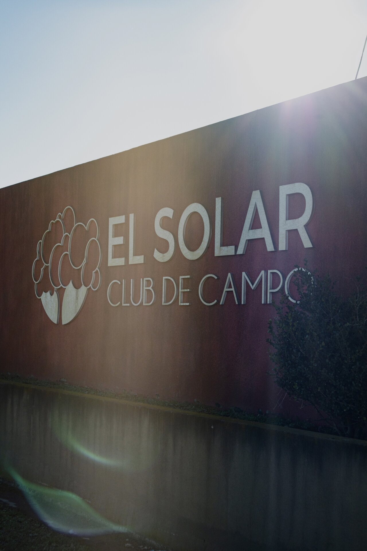 Contenido Si Agencia