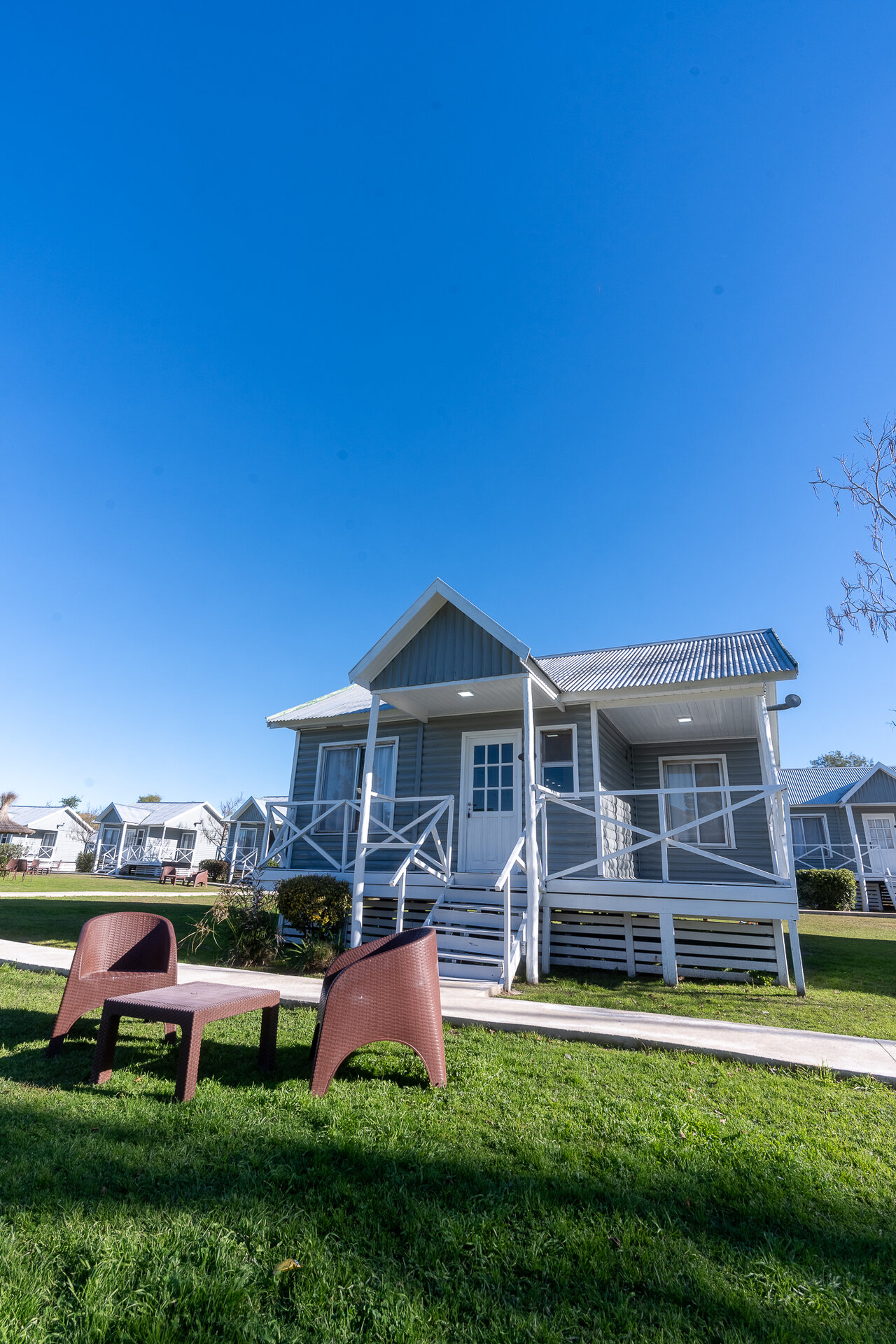 Contenido Si Agencia